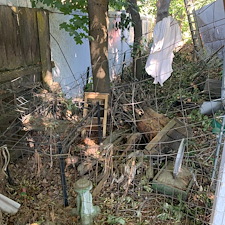 Tree-and-Brush-Removal-in-Pullman 0